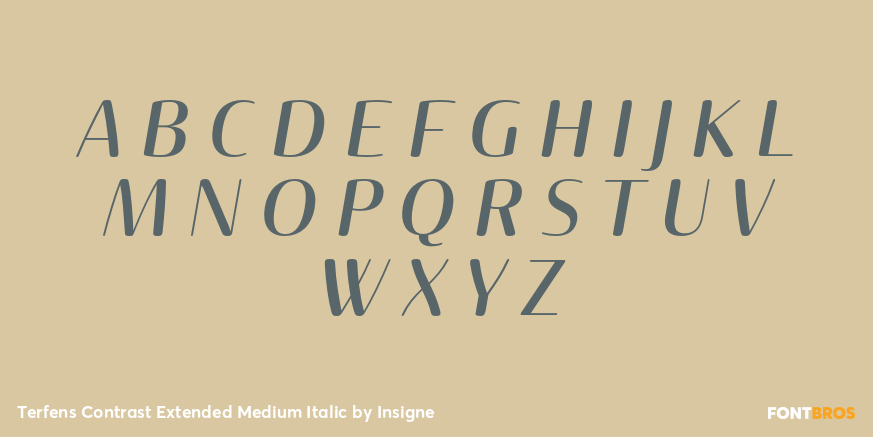 Terfens Contrast Extended Medium Italic Font Poster #1