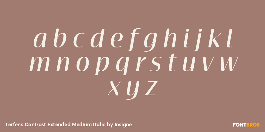 Terfens Contrast Extended Medium Italic Font Poster #1
