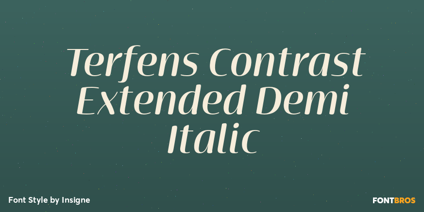 Terfens Contrast Extended Demi Italic Poster