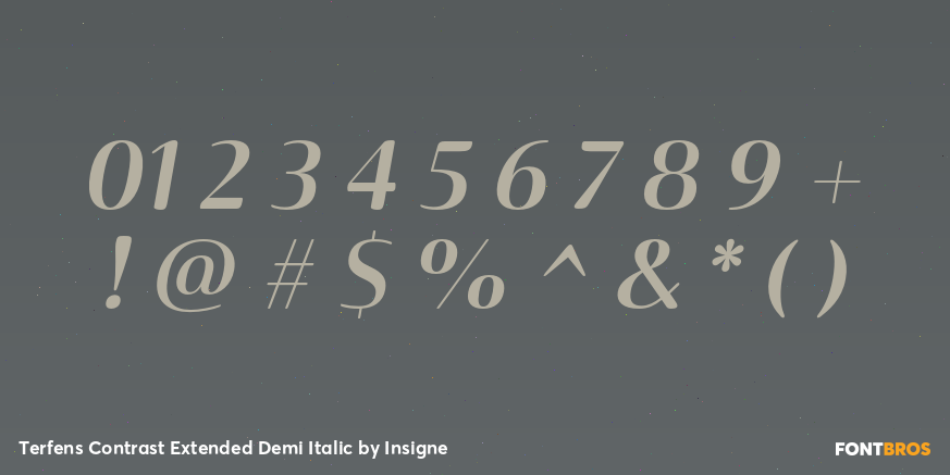 Terfens Contrast Extended Demi Italic Font Poster #1