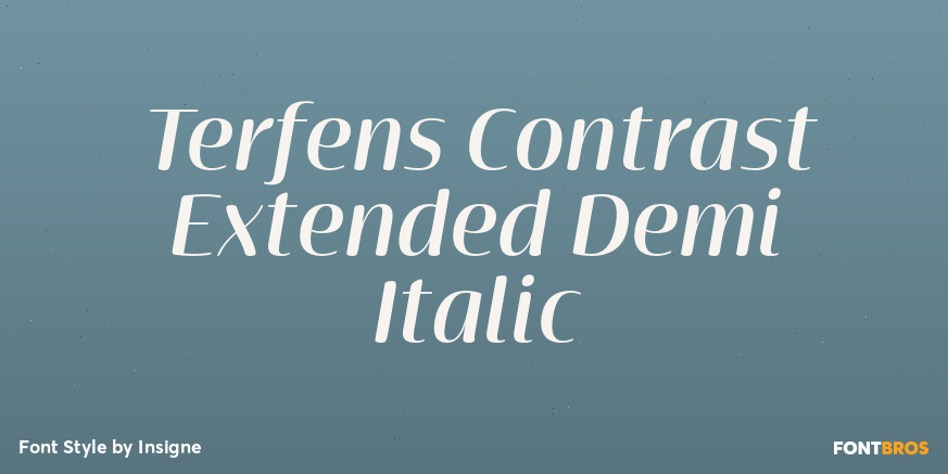 Terfens Contrast Extended Demi Italic Poster