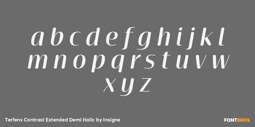 Terfens Contrast Extended Demi Italic Font Poster #1
