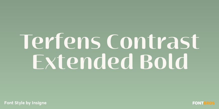 Terfens Contrast Extended Bold Poster