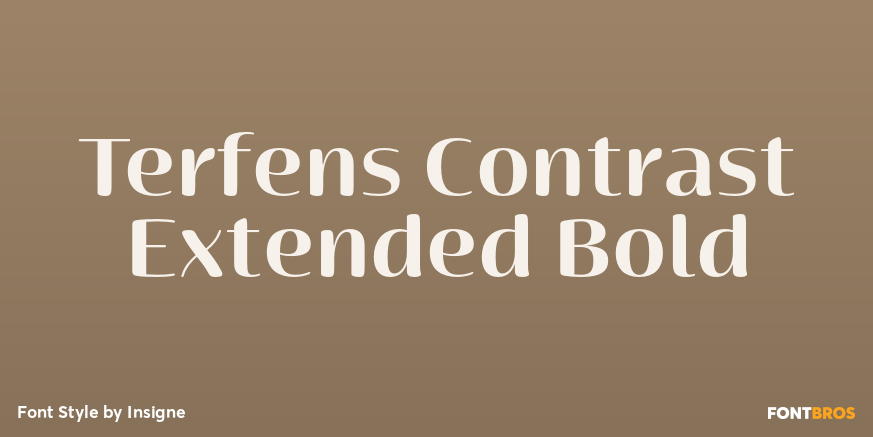Terfens Contrast Extended Bold Poster