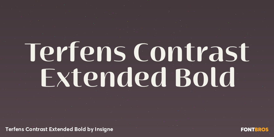 Terfens Contrast Extended Bold Poster