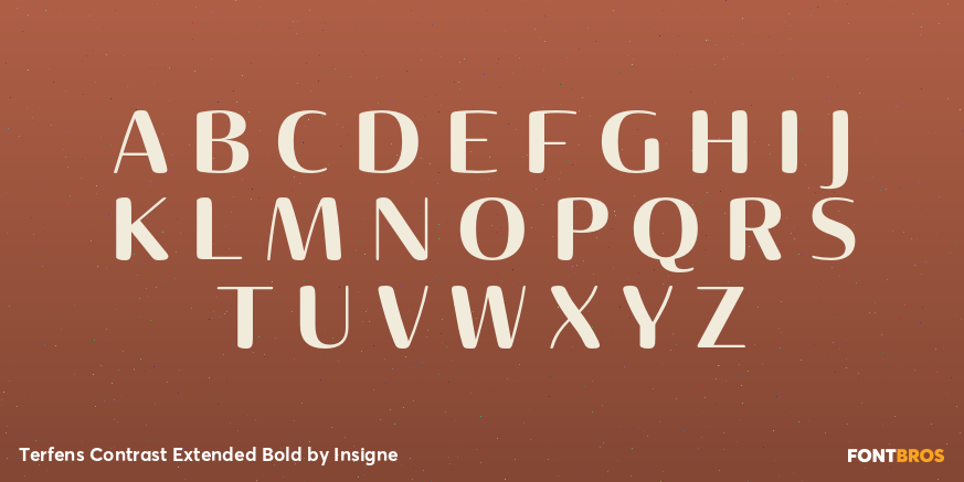 Terfens Contrast Extended Bold Font Poster #2