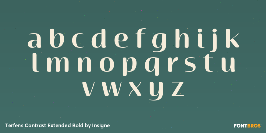 Terfens Contrast Extended Bold Font Poster #3