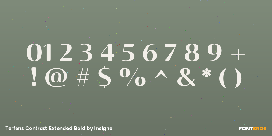 Terfens Contrast Extended Bold Font Poster #4