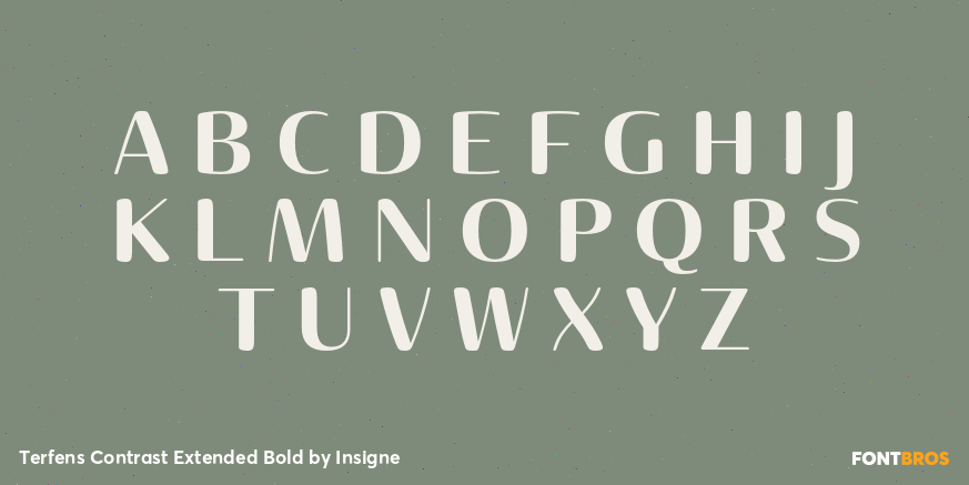 Terfens Contrast Extended Bold Font Poster #1