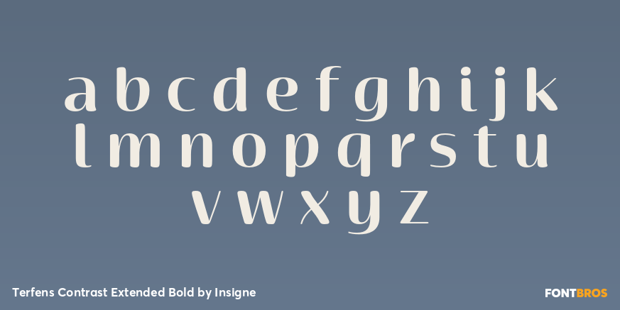 Terfens Contrast Extended Bold Font Poster #1