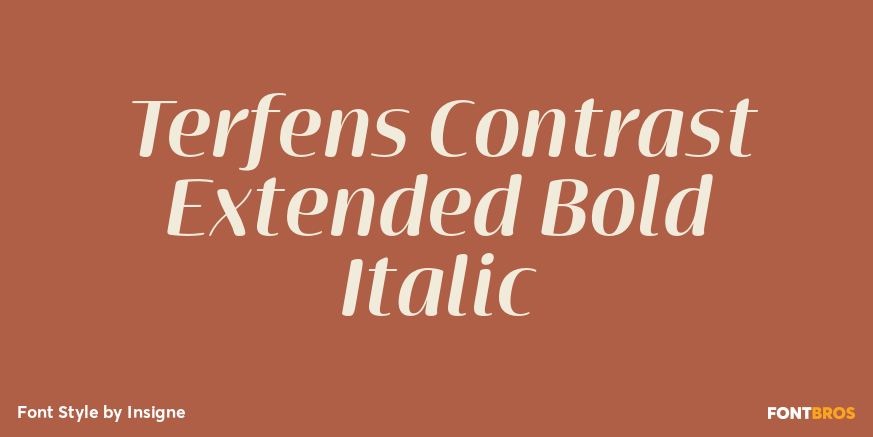 Terfens Contrast Extended Bold Italic Poster