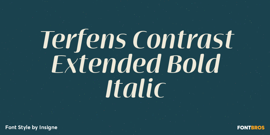 Terfens Contrast Extended Bold Italic Poster