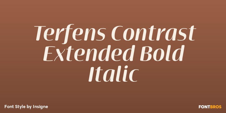 Terfens Contrast Extended Bold Italic Poster