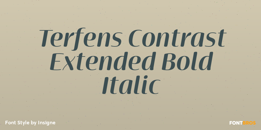 Terfens Contrast Extended Bold Italic Poster