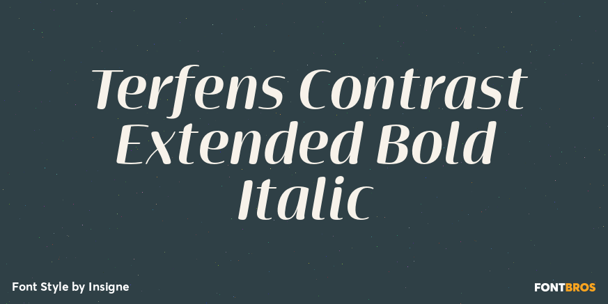 Terfens Contrast Extended Bold Italic Poster