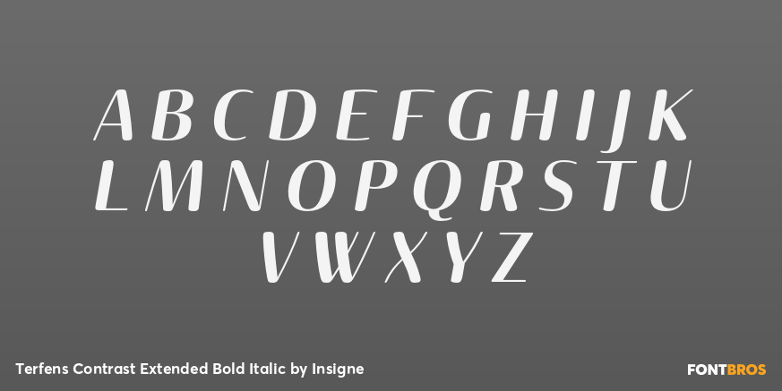 Terfens Contrast Extended Bold Italic Font Poster #1