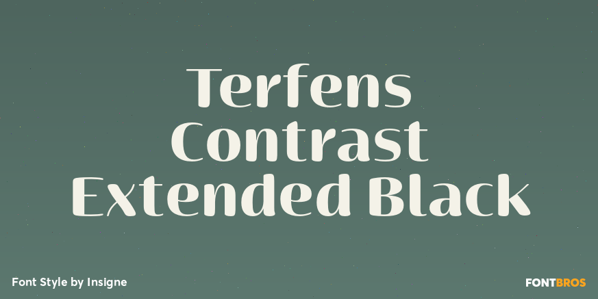 Terfens Contrast Extended Black Poster