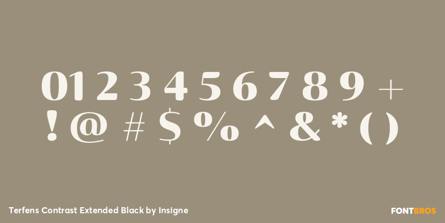 Terfens Contrast Extended Black Font Poster #1