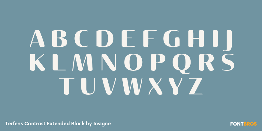 Terfens Contrast Extended Black Font Poster #1