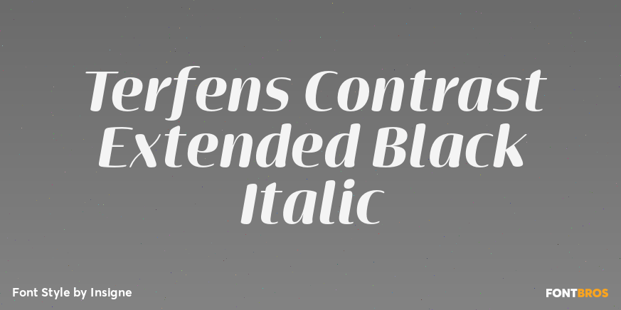 Terfens Contrast Extended Black Italic Poster