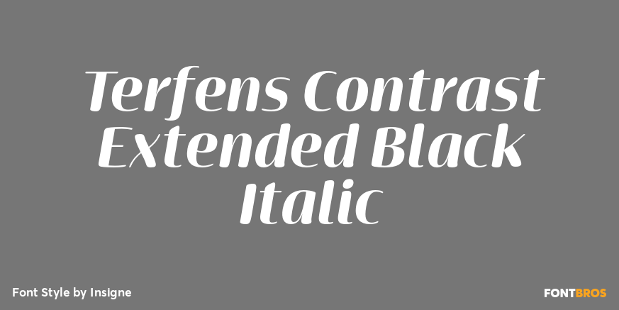 Terfens Contrast Extended Black Italic Poster