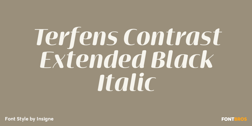 Terfens Contrast Extended Black Italic Poster