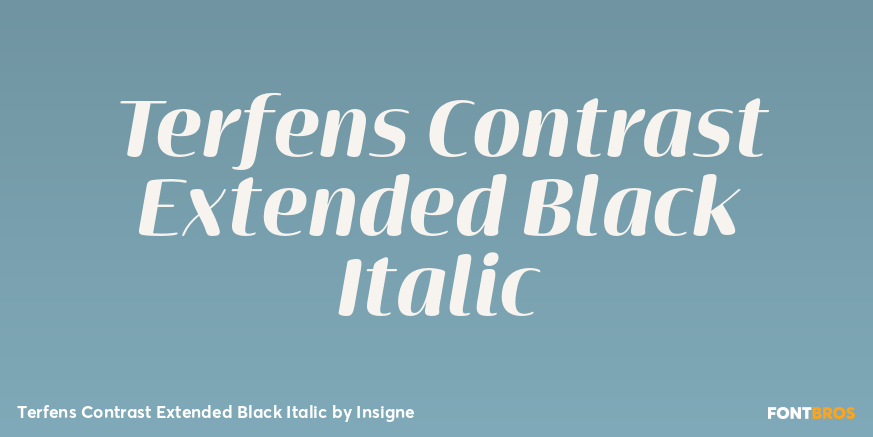 Terfens Contrast Extended Black Italic Poster