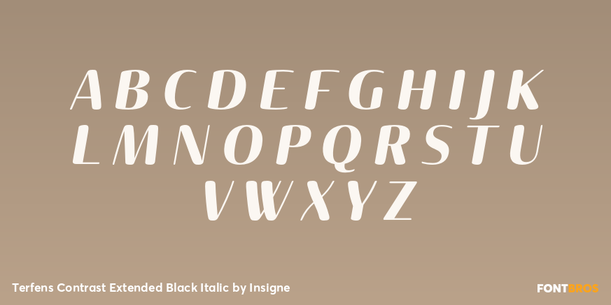 Terfens Contrast Extended Black Italic Font Poster #1