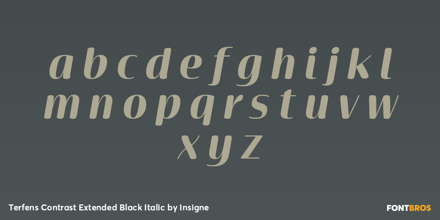 Terfens Contrast Extended Black Italic Font Poster #1