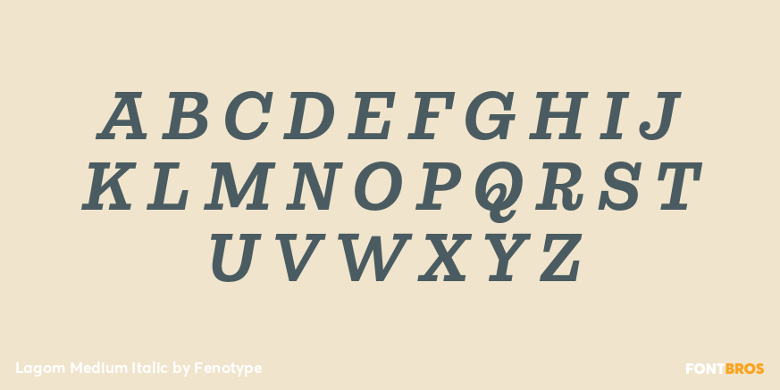 Lagom Medium Italic Font Poster #2