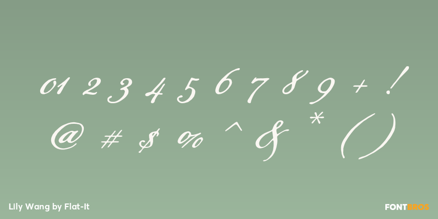 Lily Wang Font Poster #1