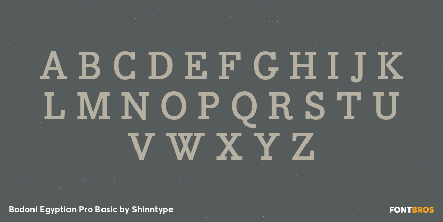 Bodoni Egyptian Pro Basic Font Poster #2