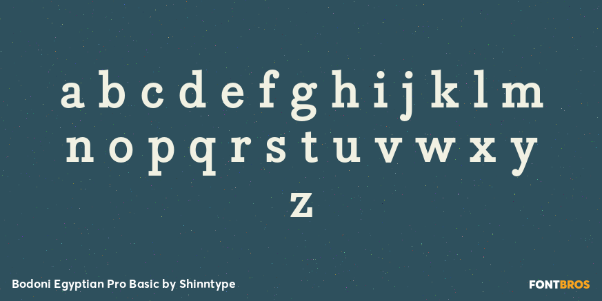 Bodoni Egyptian Pro Basic Font Poster #3