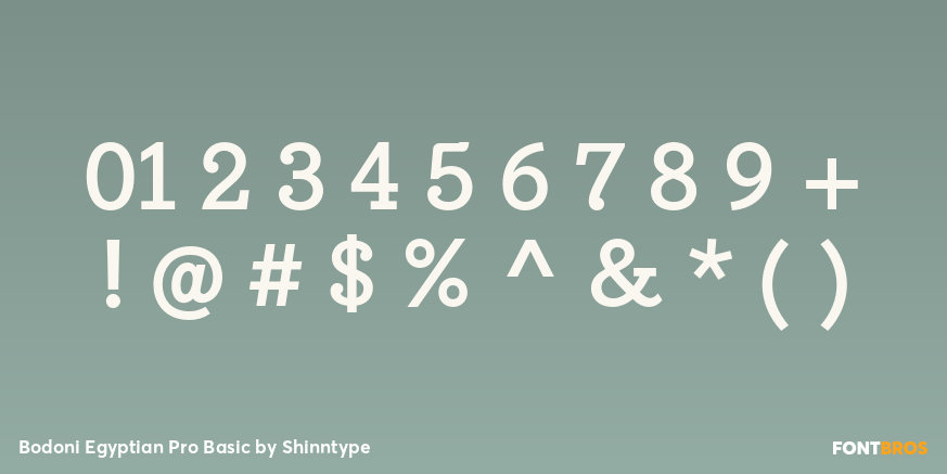 Bodoni Egyptian Pro Basic Font Poster #4