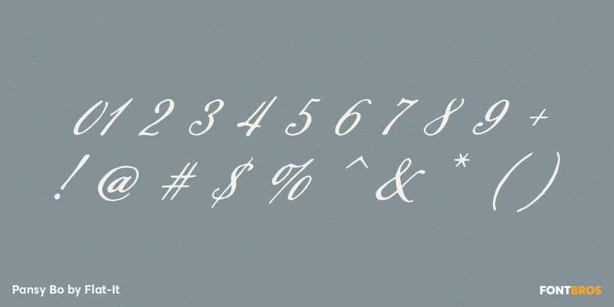 Pansy Bo Font Poster #1