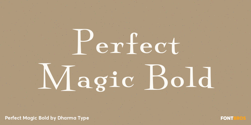 Perfect Magic Bold Poster