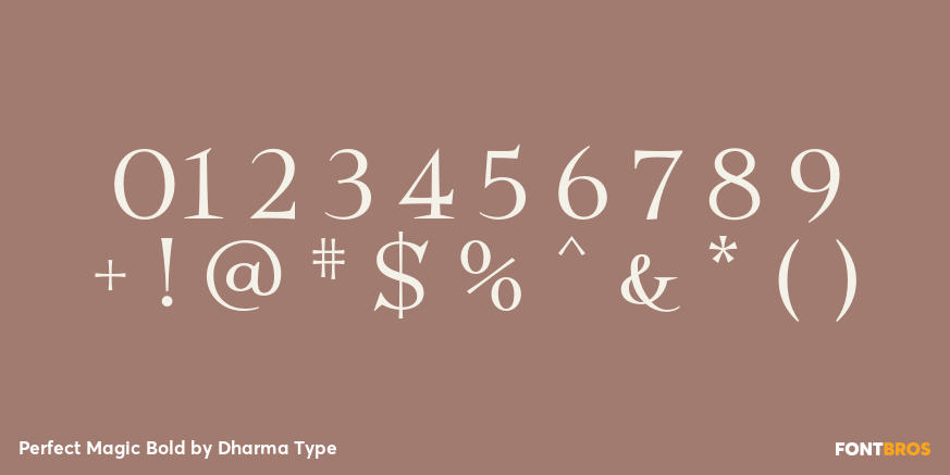 Perfect Magic Bold Font Poster #4