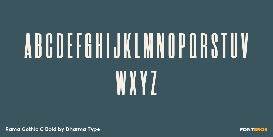 Rama Gothic C Bold Font Poster #2