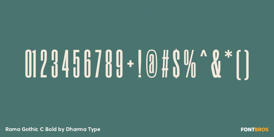 Rama Gothic C Bold Font Poster #4