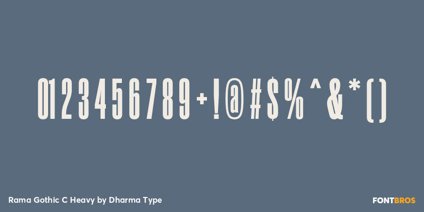Rama Gothic C Heavy Font Poster #4