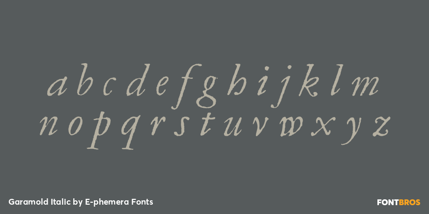 Garamold Italic Font Poster #3