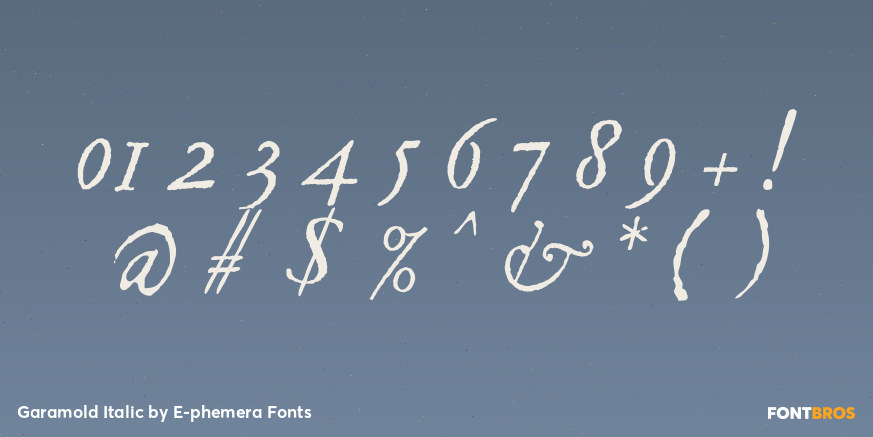 Garamold Italic Font Poster #4