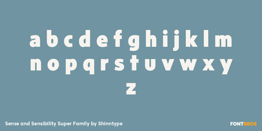 Sense and Sensibility Super Family Font Poster #3