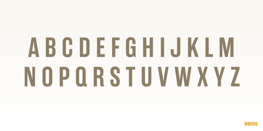 Rama Gothic E SemiBold Font Poster #2