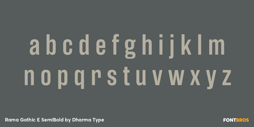 Rama Gothic E SemiBold Font Poster #3