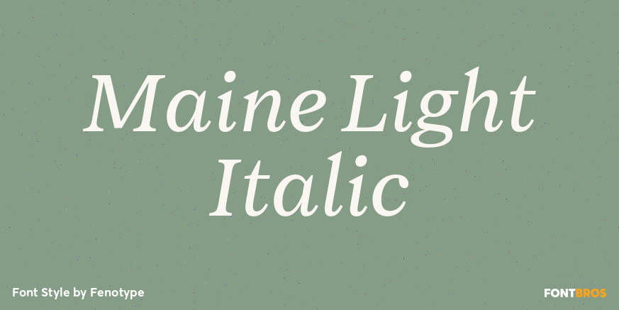 Maine Light Italic Font Poster #1
