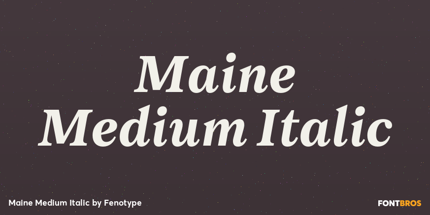 Maine Medium Italic Font Poster #1