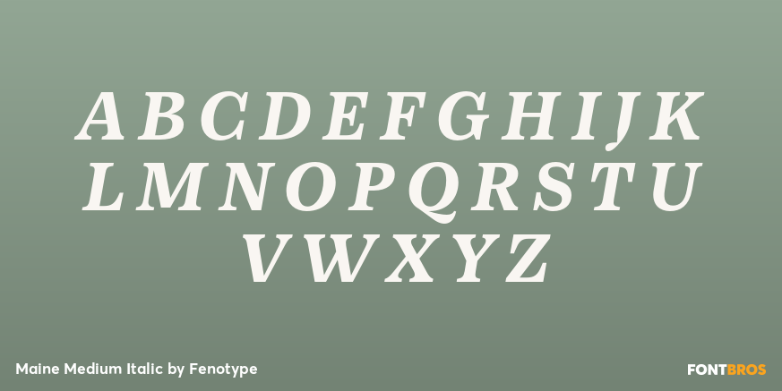 Maine Medium Italic Font Poster #2