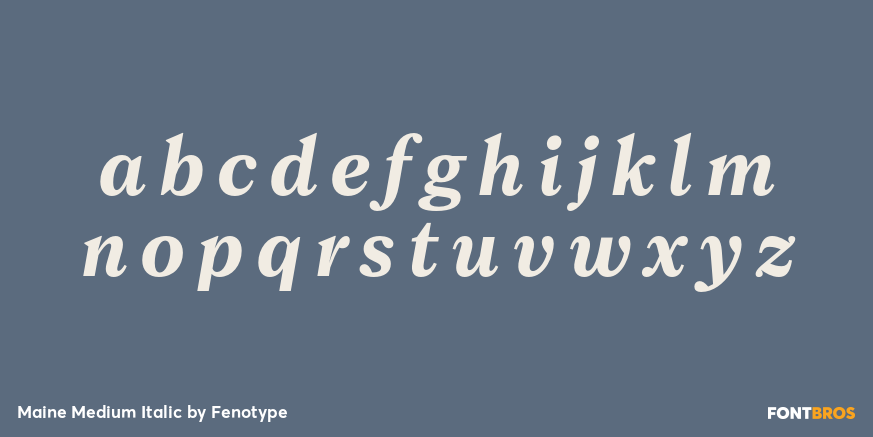 Maine Medium Italic Font Poster #3