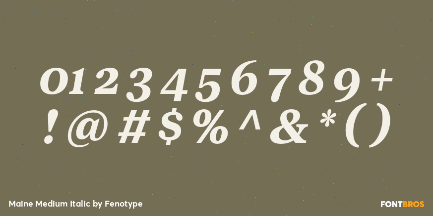 Maine Medium Italic Font Poster #4